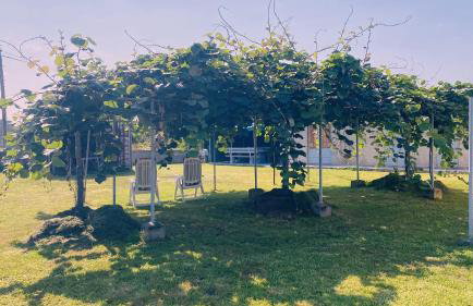 Carballeira house - Foto 60