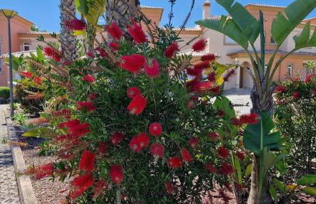 Quinta da Atalaia - Seaview Townhouse with pool - Foto 31