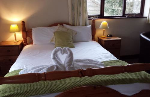 Pwllgwilym B & B - Foto 63