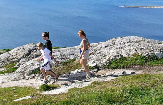 Holiday Home in Inndyr - Foto 26