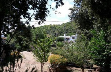 Apartments Spiros Pelion - Foto 25