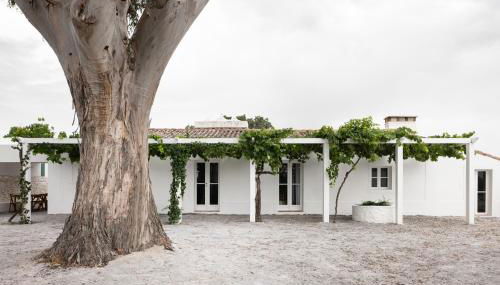 Monte dos Coureleiros - Photo 4