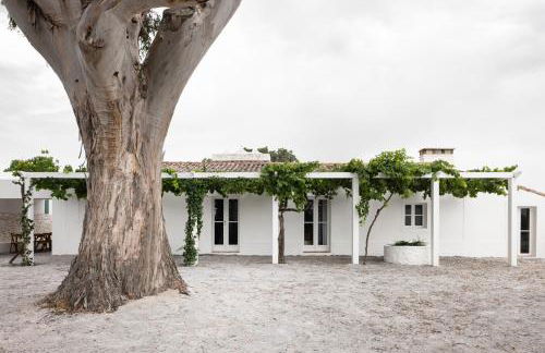 Monte dos Coureleiros - Foto 4