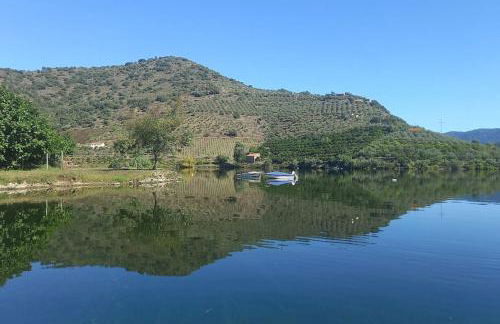 Casa de Freixo - Foto 41