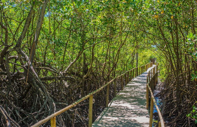 Excursion à Trancoso - Photo 6