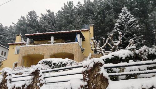 Six Steps From The Forest - Foto 2