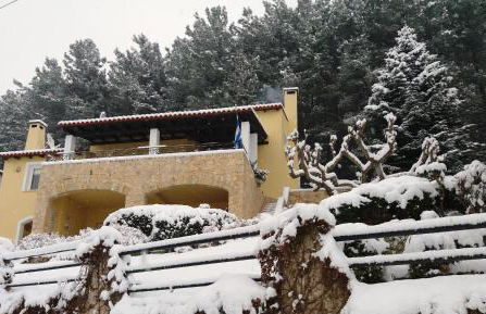 Six Steps From The Forest - Photo 2