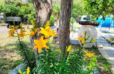 Il Limoneto di Leo - Foto 40