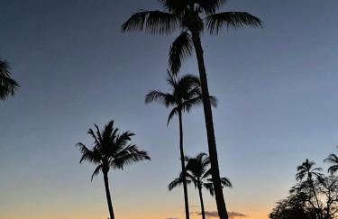 Ka Hale Kealoha - Foto 35