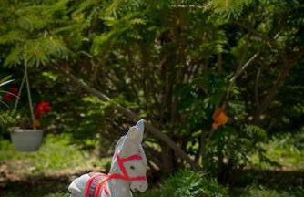 APARTMENT AMELIA VRPOLJE - Photo 26