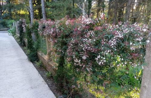 A VIDA É BELLA - Gramado RS - Photo 13