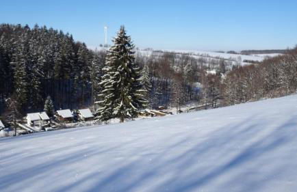 Ferienwohnung Erzgebirgswohnung Götze - Foto 45