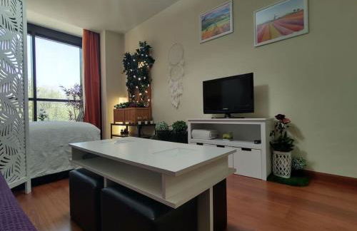 Madrid AlcoTour Apto trabajo y relax - Foto 2