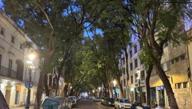 Apartamento la Porvera - Foto 2