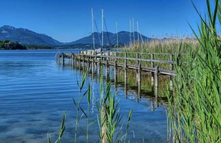 Bergfrühling - Foto 17