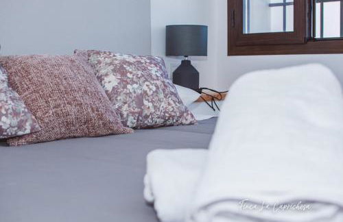 Finca Caprichosa - Foto 10