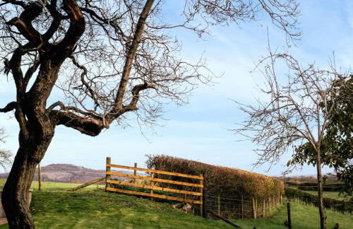 Bay Bungalow - Photo 17