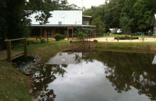 Rainforest Ranch - Photo 19