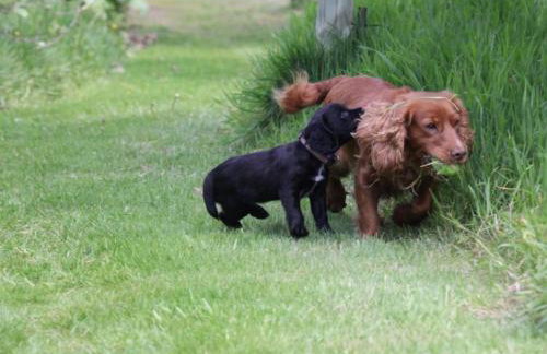 1 Bed in Umberleigh oc-55321 - Foto 18