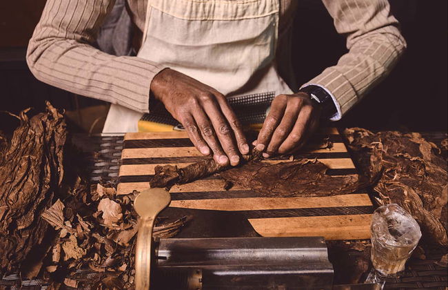Tour del tabaco, el ron y el azúcar - Foto 6