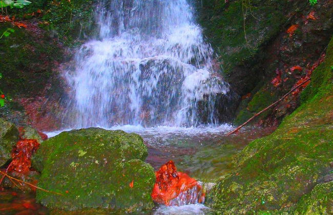 Hillside Retreat Near 5 Terre - Foto 24