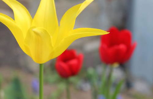Bungalow in Alt Bukow Near the Beach - Photo 53