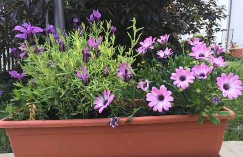 Augsburg-Bergheim E. - Foto 14