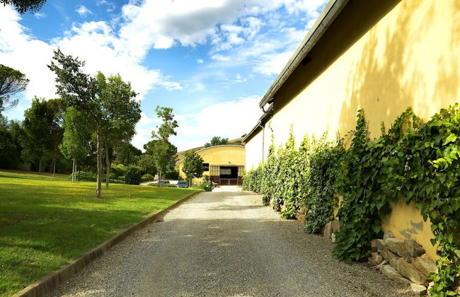 Agriturismo La Canonica - Photo 32