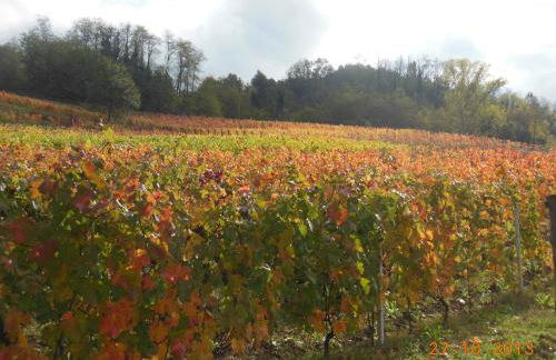 Agriturismo Cascina Tollu - Foto 35