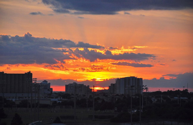 Palms Resort #2608 Jr. 2br-serenity Now - Photo 75