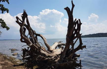 KüstenKind - Foto 23