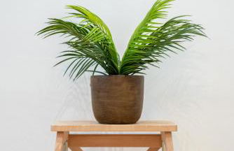 Blue Bail - T2 au calme - proche commerces - Foto 24