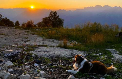 Casa del Piol Fattoria dei fiori - Photo 41