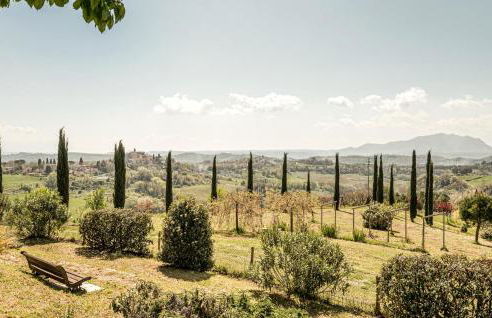 Blue Cherry - Foto 34