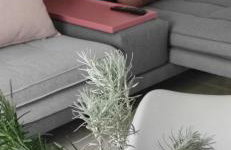 Elena Apartments - Foto 9