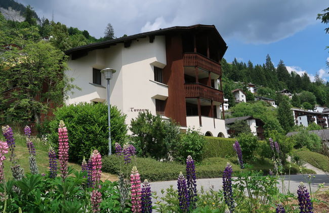 Tavaun A11 - Foto 18