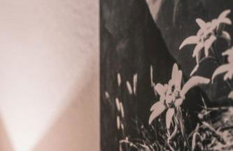 Allgäu-Glück Grünenbach - Foto 41