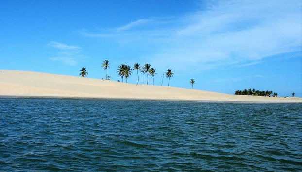 Palmeras en una de las playas
