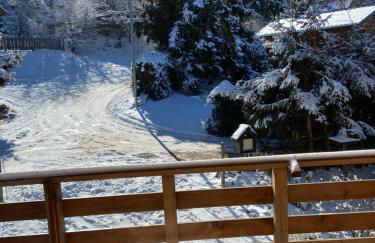 Chalet bois au calme, en lisière de forêt, balcons, sentiers balades Gérardmer & Alsace "Chalet Mon beau sapin" - Foto 4