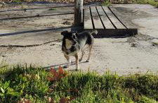 Maria's home - Foto 42