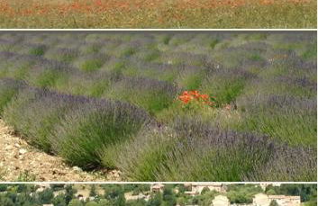 Hameau des Sources, Fontaine de la Justice - Foto 19