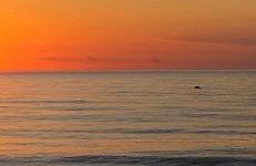 Sleep by the Sea - Foto 9