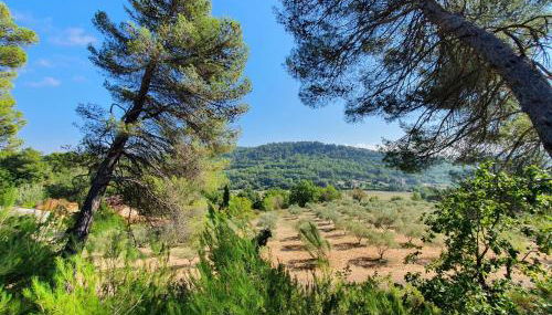 Domaine Lou Amì - Foto 4