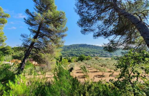 Domaine Lou Amì - Foto 4