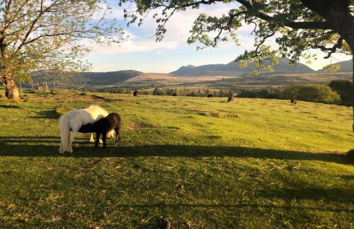3 Bedroom Log Cabin in Snowdonia nr MTB trails - Foto 30