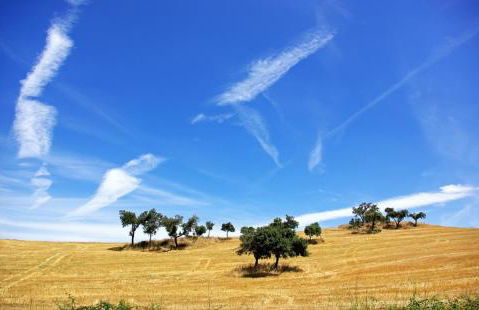 Villa do Pinheiro - Foto 53