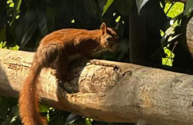 Choubello Gite classé 4 étoiles - Foto 11