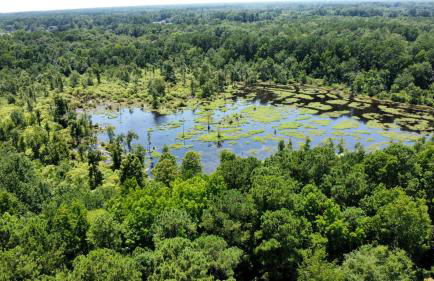 Modern Airstream Glamping with Pond Views in Rural South Carolina - Photo 4