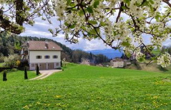 Aschnerhof Auf´m Egg - Photo 10