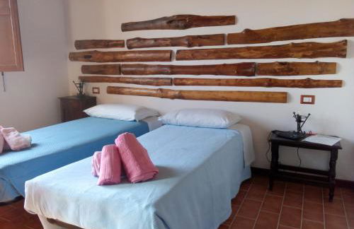 L'Albero degli Struzzi - Foto 27